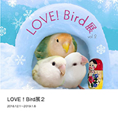 LOVE!Bird展公式カタログ２